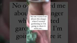 Anda Tidak Pernah Tahu Apa Yang Mungkin Anda Temukan Di Taman  taman kelinci kelinci lucu