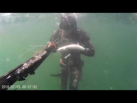 spearfishing in black