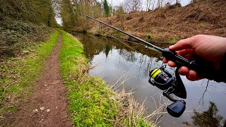 Early Morning Lure Fishing For Perch On The C...