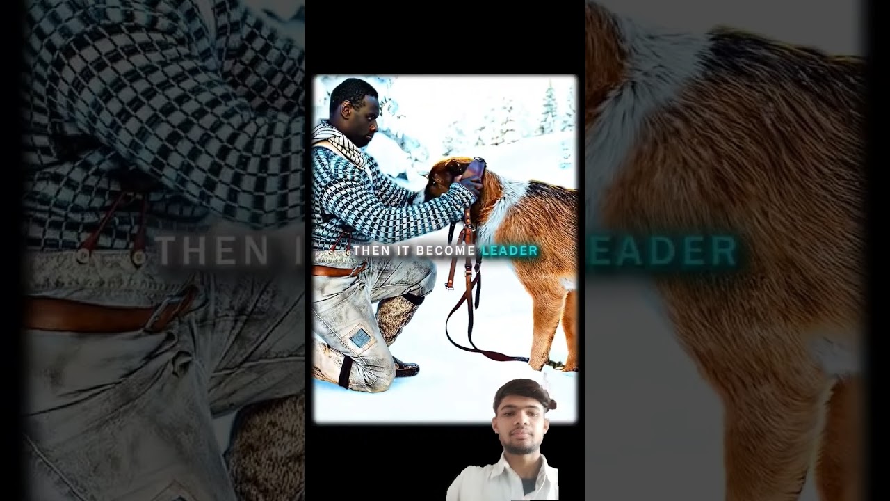 dog help video 🫡🫡🥰 #sad #animals #thelastofus #love #peaceful #fpyシ #helping #doglove #short #video