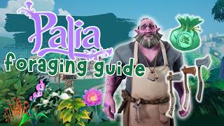 🌿Palia Foraging Guide: Best Routes &amp; Where to Find Rare Items🌿