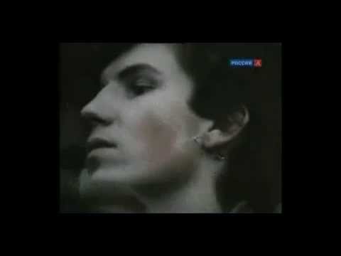 Пассионарный толчок и развитие России по Льву Гумилёву