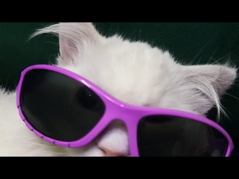 لعب وجلد بينفس الوقت