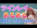 【ツインレイあるある】既読無視・未読無視は何故起こるの?