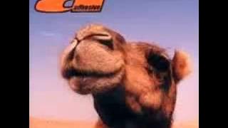 Adhesive - Sideburner (1996)