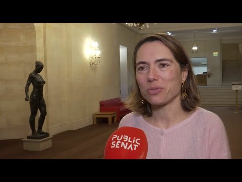 Montchalin à La Cour Des Comptes Elle Pourrait Faire Presque La Moitier De Sa Carrière La Bas 