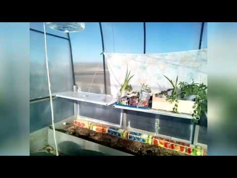 Полочки для рассады в теплице - YouTube