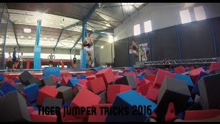 Tiger Jump Tricks 2016