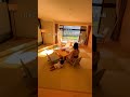 日本最高峰の温泉宿まとめ