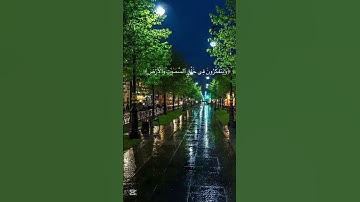 سورة آل عمران القارئ ماهر المعيقلي  #اكسبلور #المصحف#قرآن
