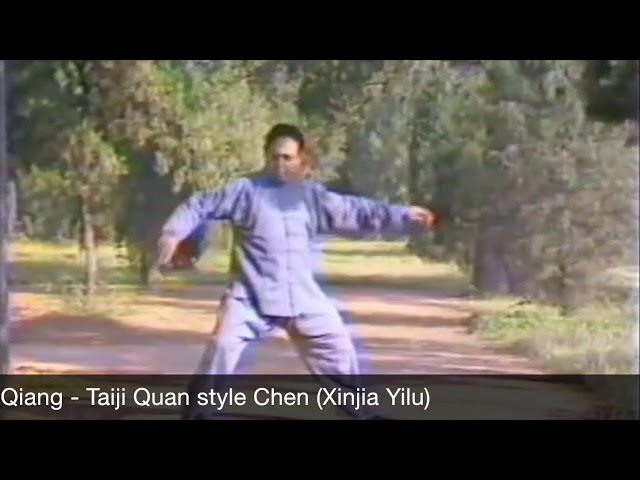 Feng Zi Qiang - Tai Chi style Chen Xinjia Yilu [ 陈氏太极拳新架 Taijiquan style Chen]