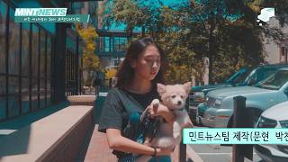 미국 여대생 취향존중 #펫스타그램  |  미국취향 EP.01