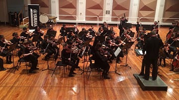 Serenade for String Orchestra III. Nocturne - Leyden