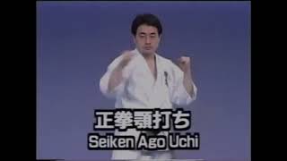 Seiken Ago Uchi - 9 kyu