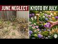 Plant These Japanese Perennials in JUNE — Your Yard Will Look Like Kyoto by July