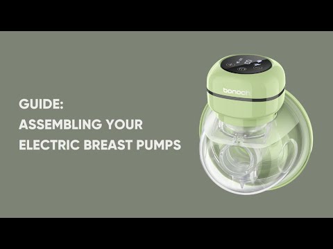 Step-by-Step Guide: Assembling