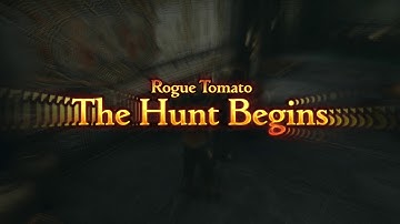 Final Fantasy XII - Randomizer (Created by: Bartz24) Part 1