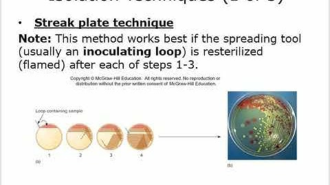 Microbiology Chapter 3 Lab Tools By Dr  Saudi