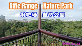 新加坡射靶场自然公园徒步 | Rifle Range Nature Park | Singapore | Nature Walk | Parks