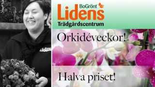 Lidköping Vid Vänern - Reklamfilm V43