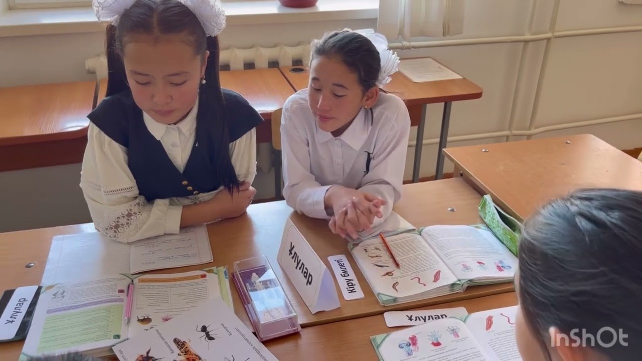 Үздік бестік байқауы. Баймұратова Ақбөбек