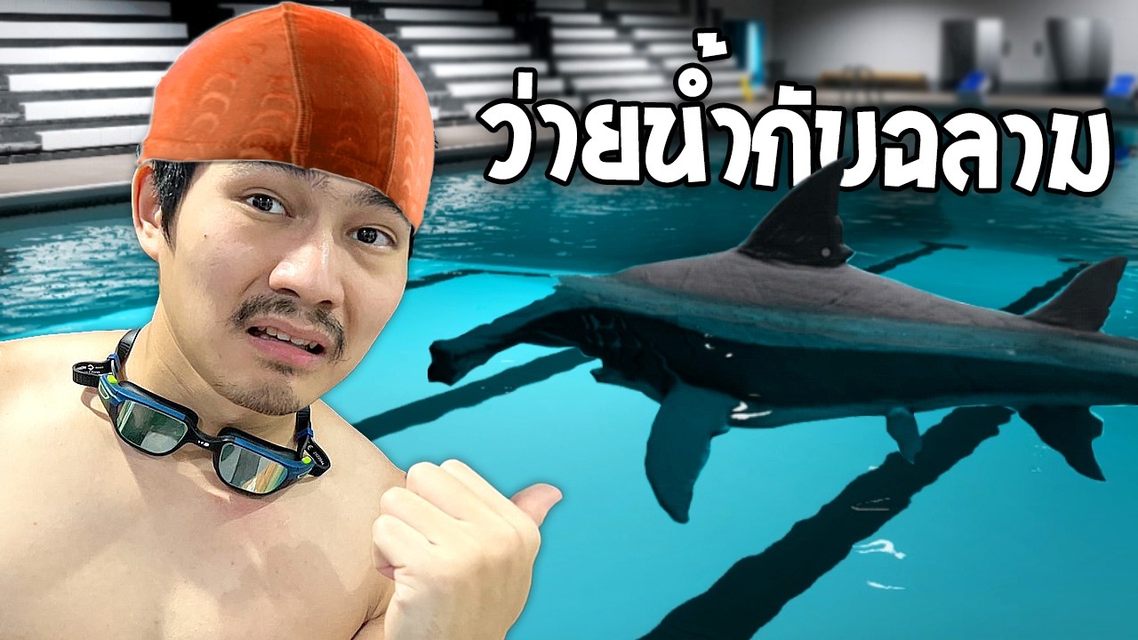 สระน้ำที่นี่ มีฉลาม... | Sharks and Minnows
