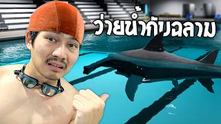สระน้ำที่นี่ มีฉลาม... | Sharks and Minnows