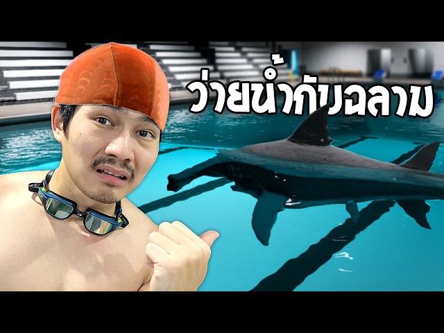 สระน้ำที่นี่ มีฉลาม... | Sharks and Minnows