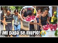 Urgente Llego do&ntilde;a Michi &iexcl;Por que te me fuiste papito Lindo!😭