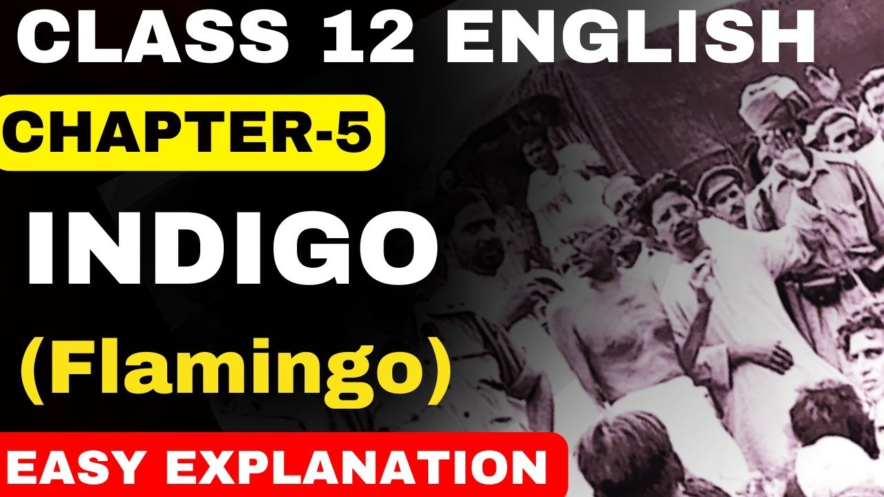Indigo Class 12 Class 12 Flamingo Chapter 5 Indigo Full Explanation indigo-class-12-class-12-flamingo-chapter-5-indigo-full-explanation