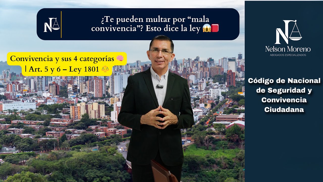👉 ¿Qué es la Convivencia según la Ley 1801? Descubre las 4 categorías clave del Código Nacional ⚖️