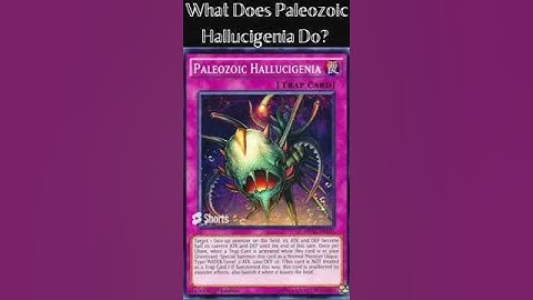 What Does Paleozoic Hallucigenia Do?