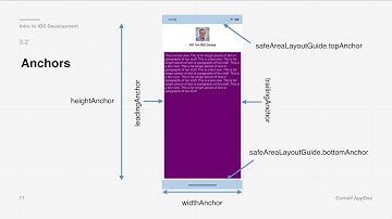 Intro to iOS Development: Lecture 2 - UIKit and AutoLayout (Fall 2018)