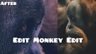 Monkey photo editing tutorial 🐵🐒 screenshot 5