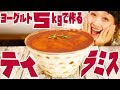 【大食い】【バレンタイン】ギガ♥ヨーグルトティラミス！材料5個でHappy Valentine's Day!【ロシアン佐藤】【Russian Sato】