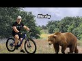 Am fugit de un urs cu bicicleta, BIKE VLOG 