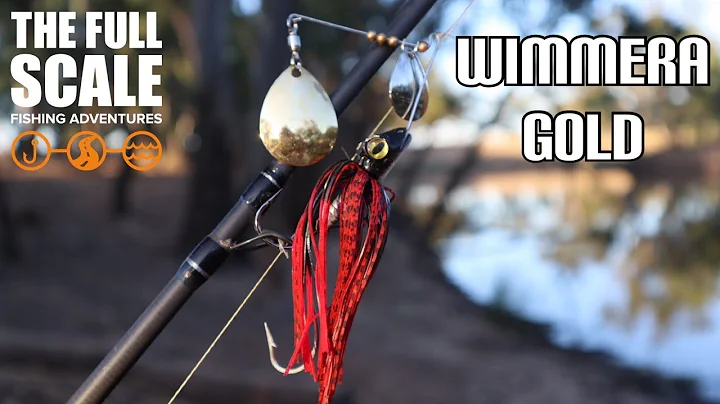 Wimmera River Golden Perch | The Full Scale