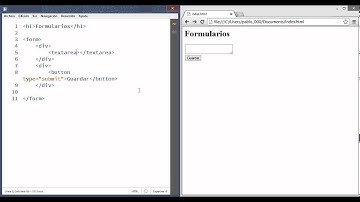 Tutorial de Formularios HTML, Cómo Usar las Áreas de Texto