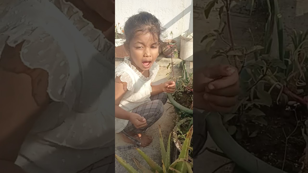 Baby play time||counting number practice with flower|| viral video 