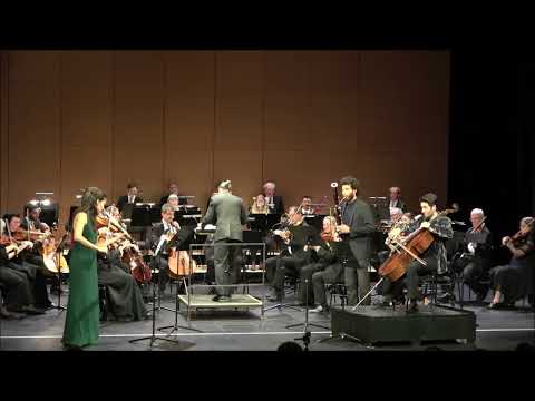 Usha Kapoor, violin | J. Haydn: Sinfonia Concertante, Allegro con spirito