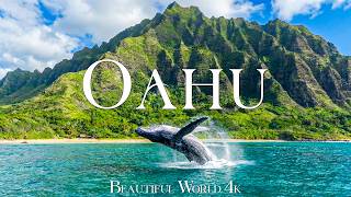 Oahu 4K 🌊 Volcanic Coastlines, Tropical Valleys and Pacific Island Wonders