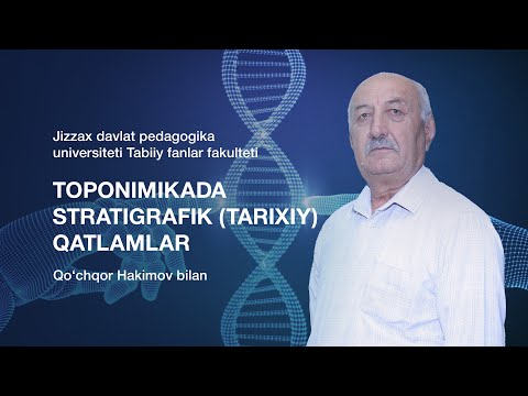 Video: Davlatda oilani ijtimoiy qo'llab-quvvatlash