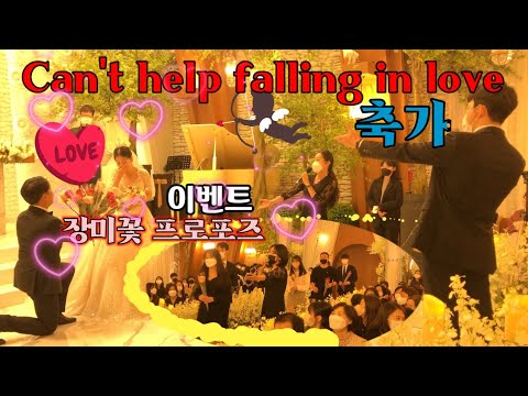 뮤배들의 깜짝 장미꽃 프로포즈 축가 이벤트!(Can't help falling in love)