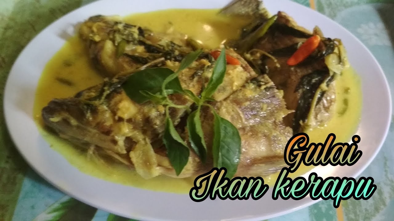 #masakanpadang Gulai ikan kerapu 