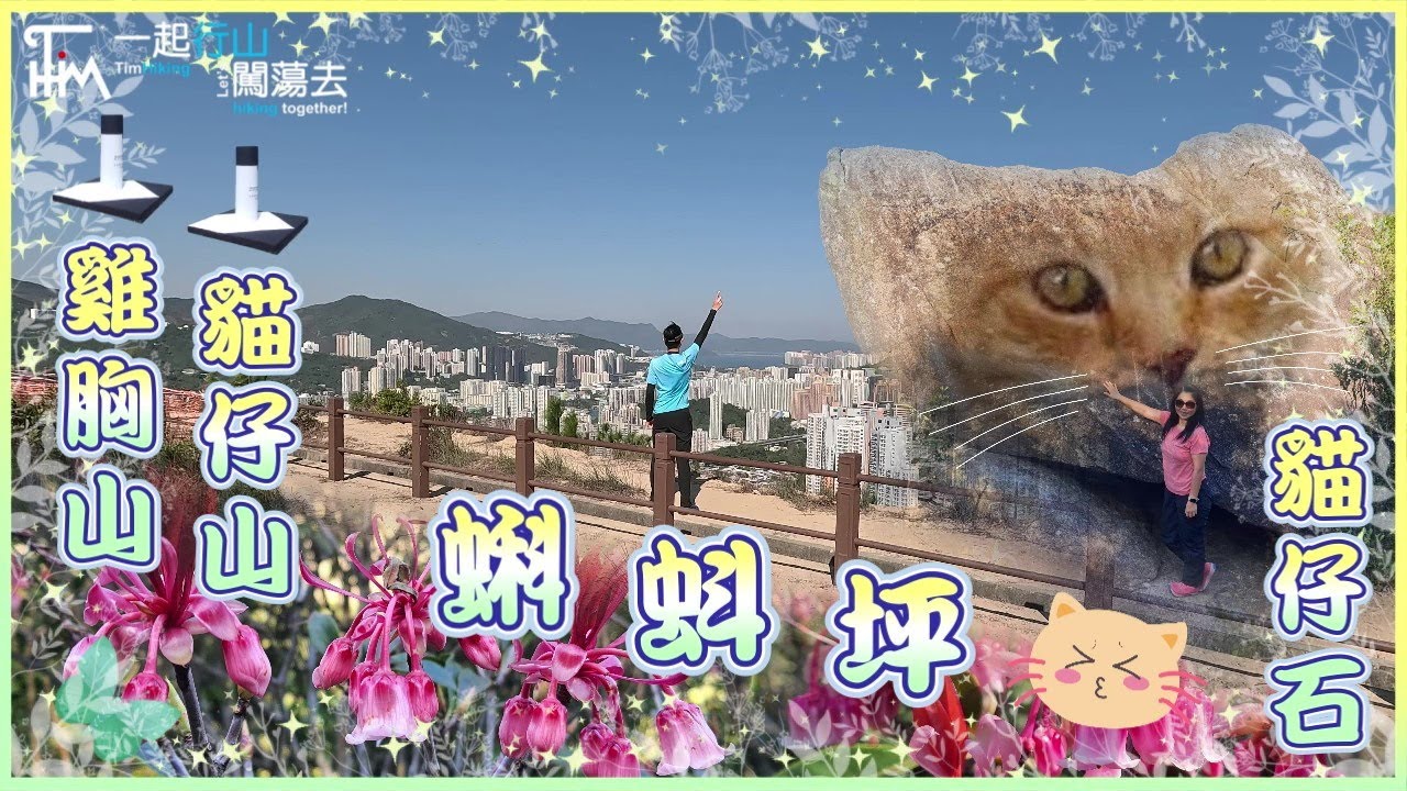 【輕鬆行山郊遊】﹝修正版﹞蝌蚪坪🐸貓仔山🐱雞胸山🐔十二笏吊鐘花🥀 短線由沙田圍行到慈正邨 沿路荒徑少人 | 上貓仔山找貓仔石 | 順路經十二笏睇吊鐘花 多有多睇少有少睇 | TimHiking