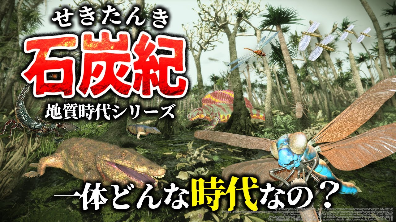 【ゆっくり解説】地質時代シリーズ　石炭紀とは一体何なのか？