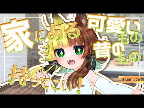 🌈みんなの一番○○なもの見せて♥/チタリスの私物見会【初見大歓迎‣EnglishOK】JapaneseVtuber