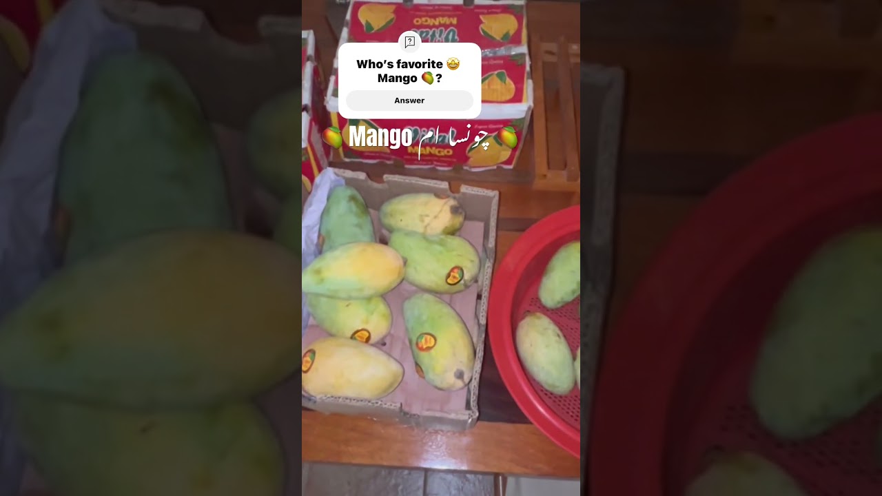 Season’s best Chaunsa mango shake with fresh milk 🥛 – naturally sweet and delicious!