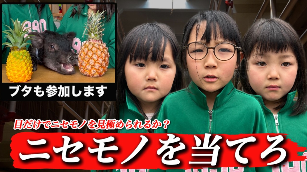 Can you tell the difference with a pig's nose?] A serious