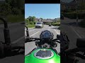 POV: Scenic country roads 🌲 #shorts #motorcycle